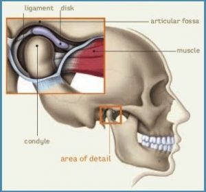 Dolor en la mandíbula | ODOS Dental
